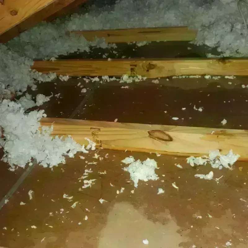 Attic Water Damage in Summit View, WA