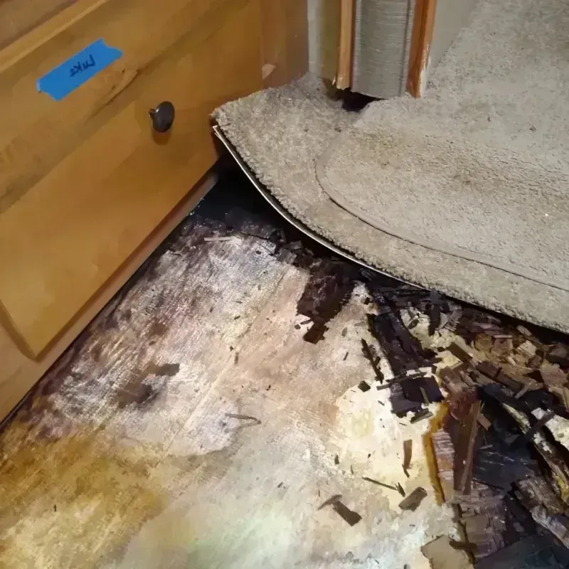 Best Wood Floor Water Damage Service in Summit View, WA